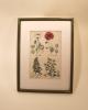 #2296 Botanical Poppies 14x10